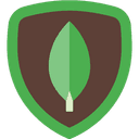 css icon